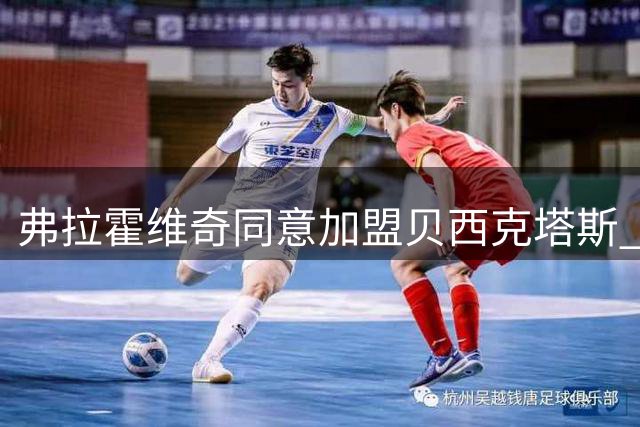 弗拉霍维奇同意加盟贝西克塔斯 转会进入最后阶段