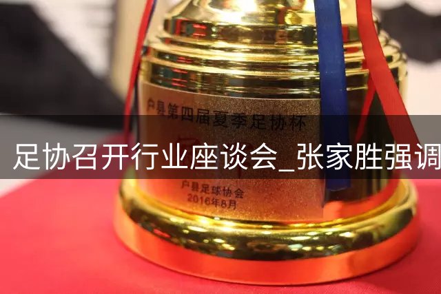 足协召开行业座谈会 张家胜强调中国足球改革发展重点工作