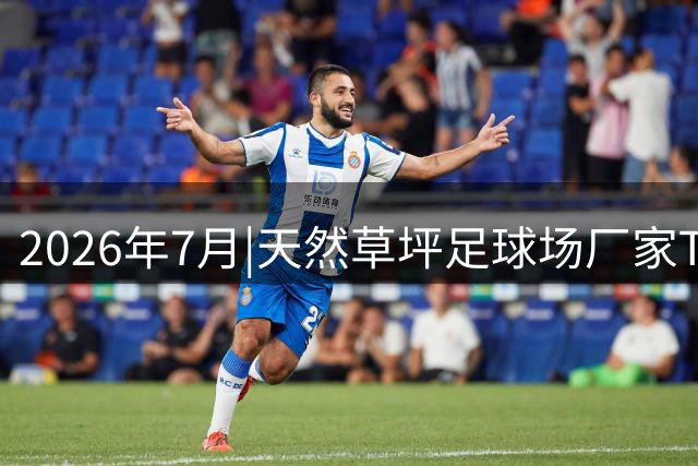 2026年7月|天然草坪足球场厂家TOP8推荐